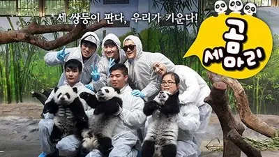 중국 개홍역 발생 '일밤 애니멀즈' 촬영 중단...개홍역이란?