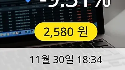 메타랩스 30일 2,580원 장종보고