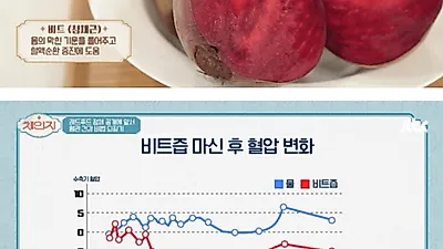 레드비트즙 마신 후 변화 '혈압 조절 및 콜레스테롤 감소' 효능 및 주의해야 할 부작용 살펴보니?