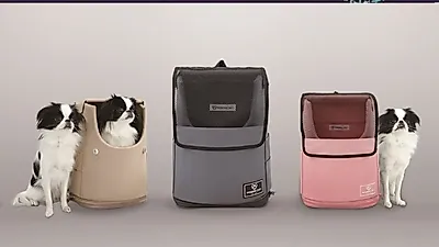 애견가방 모던캐리, 상해 펫박람회에서 선보여