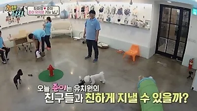 '개 밥 주는 남자' 최화정, 준이의 유치원 대공개