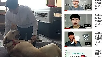 강아지 방문훈련을 통한 반려견 문제 행동 교육