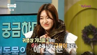 "우리도 반려동물!" 펫닥터스 특수동물 특집, 구렁이부터 거북이까지 총출동