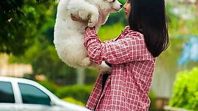 1인가구보다 3인 이상 가구가 반려동물 사육 비율 높다