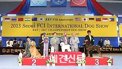 개, 고양이 2천마리 참가 '서울 FCI 국제 도그쇼 & 올캣 페스티벌' 성황리 개최