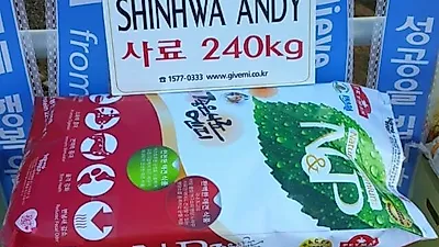신화 일본팬들, 유기견 보호소에 사료 후원