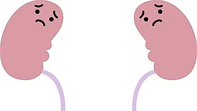 방광염 증상 빠른 치료 시 2~3일 내 호전 가능하지만 방치 시 다양한 합병증까지…방광염 치료법 및 예방법