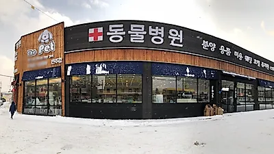 더펫 동물병원, 가정 위탁 분양 진행해 믿을 수 있는 반려견분양 문화 앞장서