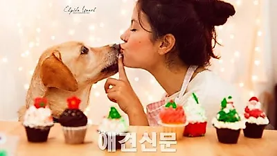 유기견 리사가 전하는 길 잃은 개들을 위한 메시지