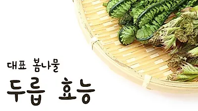 진정한 봄 한정 요리, '두릅 효능'과 요리로 향긋한 식탁 만들기