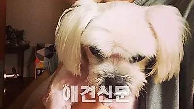 로이킴의 반려견 사랑 "집 앞에서 날 기다려 준 싼쵸 덕분에 행복"
