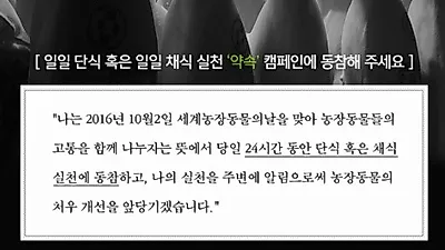 카라, 세계 농장동물의 날 맞아 캠페인 촉구