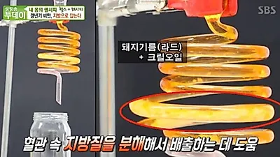 홍여진, 크릴오일에 대해 "남극 청정에서 고래들이 먹고 자라는.."