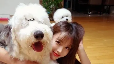 홍진영 몸집만한 복실복실 반려견 "넘 훌쩍 커 버린 내시키"