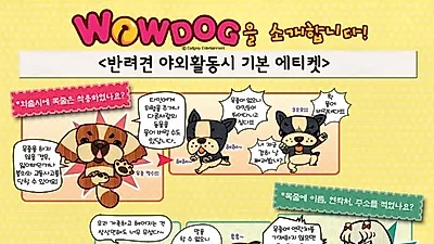 [와우독] 반려견 야외활동시 기본 에티켓
