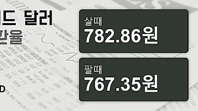 28일 뉴질랜드 달러 살때 782.86원, 팔때 767.35원 ▲0.2%상승
