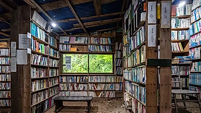 [11월여행지추천] 1박2일 나 홀로 가을여행? 충남 단양 가볼만한곳 여행코스 BEST 7