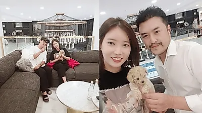 강아지분양 펫갤러리아·펫제이 억대 종모견수입으로 포메라니안분양 전문성 발전공헌