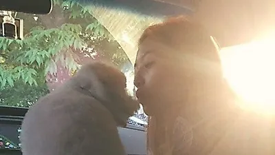 레인보우 멤버 재경, 반려견과 반짝반짝 빛나는 일상