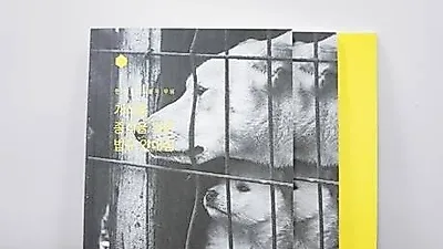 동물보호시민단체 카라, 개식용 종식을 위한 법규 안내집 발간