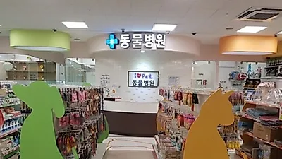 아이러브펫 동물병원 부천상동점, 노령견 만성질환 전문 치료 선보여