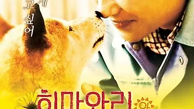 '히마와리와 나의 7일' 국내 개봉