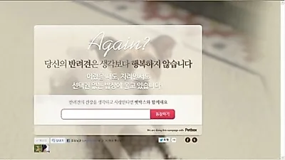 월 12,500원에 다양한 애견용품을 받아볼수 있는 서브스크립션 커머스 오픈
