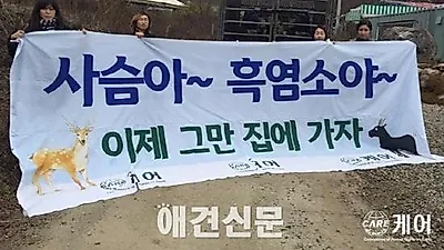 도축장으로 팔려간 서울대공원 동물들. 드디어 '집'으로...