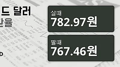 29일 뉴질랜드 달러 살때 782.97원, 팔때 767.46원 ▲1.02%상승