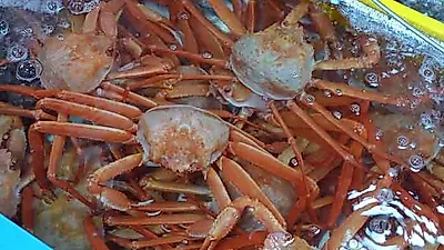 동해 바다보고 11월 제철 대게 먹고…강원도 동해·속초 가볼만한곳·맛집 총정리! 설악산, 묵호등대 등
