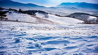 겨울을 제대로 즐길 수 있는 '강원도 가볼만한곳' 확인