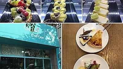 천안 디저트 맛집 '곰미커피' 2시간동안 내가 원하는 디저트 마음껏 맛볼 수 있어 