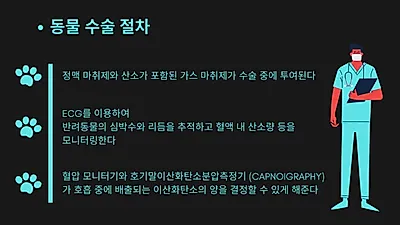 반려동물 수술 앞뒀다면? 반려인으로서 해야 할 일