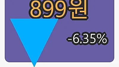 파인텍마감가 899원, 전일대비 -6.35퍼센트 변동..