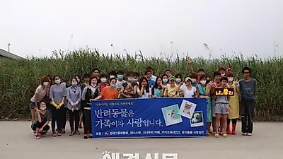 유기견 보호소 "300마리 강아지의 행복한 보금자리", 주말마다 자원봉사 행렬