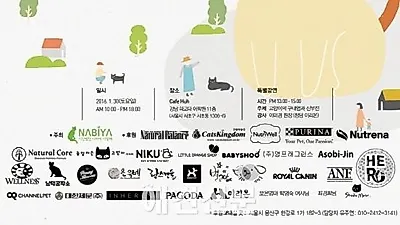 고양이들의 바자회, 서울 도심에서 열린다