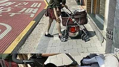 선우선, 반려묘와 산책 인증샷..."봄 나들이"