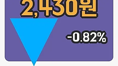 주식마감방림 13일 2,430원 장 마쳐그래프종합복습