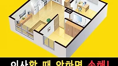 포장이사 할 때 안하면 손해~ 우리집에 딱 맞는 이삿짐센터 비교견적 필수!