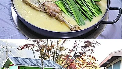 여름 휴가철, 휴식과 몸보신을 한 번에! 가평 남이섬 맛집 '오리날다'