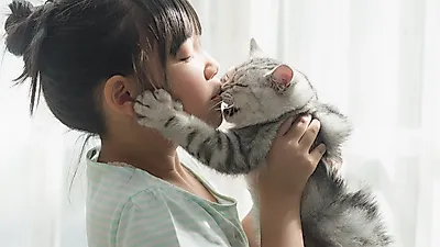 '톡소플라즈마증', 반려묘 때문에 전염된다?