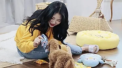 반려동물 펫시터 서비스 기업  "펫트너" 2018 서울펫쇼 참가