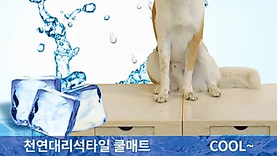애견럽, 반려동물 여름 필수템 '강아지 대리석 애견 쿨매트' 4차 완판 눈길
