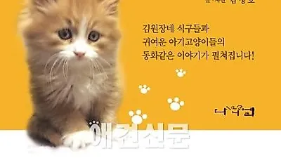 김원장네 식구 아기고양이들 키우기