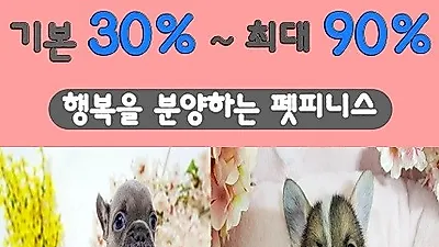 시흥강아지분양 전문업체 '펫피니스', 말티즈, 포메라니안, 비숑프리제 최대 90% 할인 분양 중