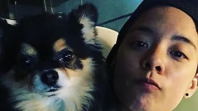 에프엑스 엠버, 반려견 잭잭과 훈훈한 일상..."닮아가고 있네"
