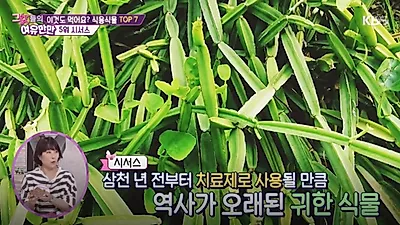 늘어진 '아래뱃살' 빨리빼는법 시서스 부작용은? 밀 알레르기 환자 섭취 주의... 시서스가루·알약 용량까지