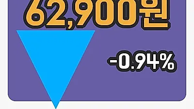 주식마감한국금융지주 21일 62,900원 장 마쳐