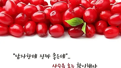 "남자한테 진짜 좋은데"..산수유 효능 확인해야