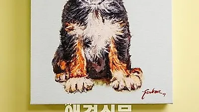 반려동물화가 김연석, 카라에 작품 기증